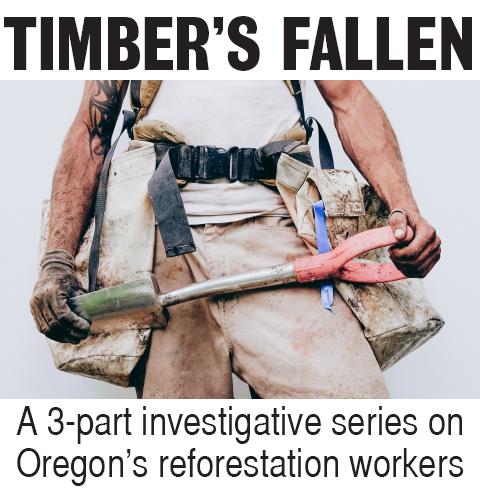Timber's Fallen: A 3-part series